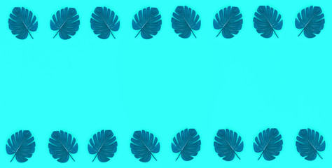 Tropical palm monstera leaves lies on a pastel colored paper. Nature summer concept pattern. Flat...