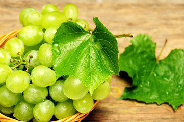 Grapes fruit with leaf like autumn  background 