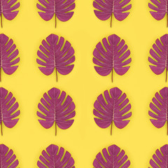 Tropical palm monstera leaves lies on a pastel colored paper. Nature summer concept pattern. Flat...