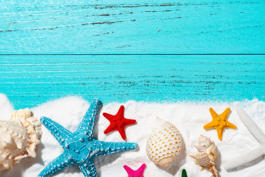 white sand and sea shells and starfishes as summer holidays concepts