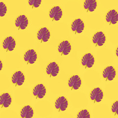 Tropical palm monstera leaves lies on a pastel colored paper. Nature summer concept pattern. Flat...