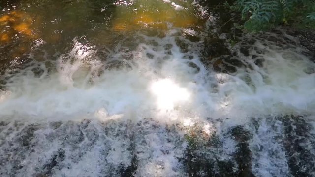 Video de cascada del río vista del agua cayendo desde arriba en un río con vegetación