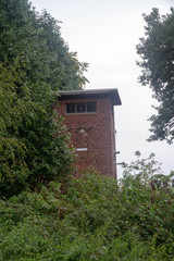 Forest (Reichswald, germany) near Kleve