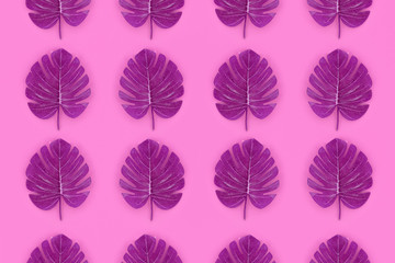 Tropical palm monstera leaves lies on a pastel colored paper. Nature summer concept pattern. Flat...