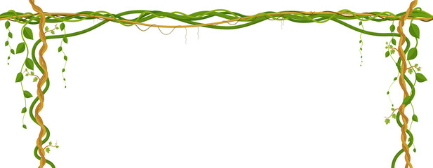 Hanging vine branches. Tropical jungle and plants on white background.