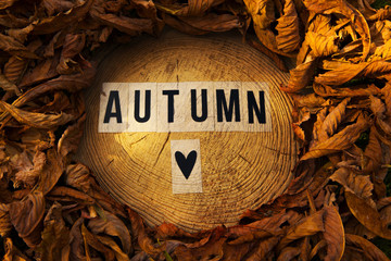 autumn leafs text wooden circle