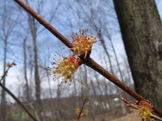 Spring 3