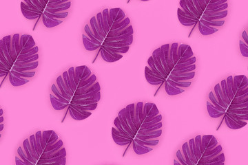 Tropical palm monstera leaves lies on a pastel colored paper. Nature summer concept pattern. Flat...