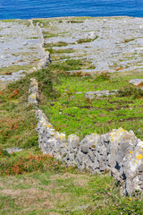 Fanore beach in Burren mountain with stone walls