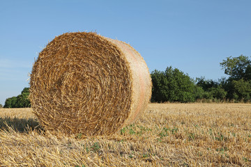 Balles de paille après les moissons