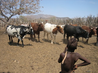 Himba 19
