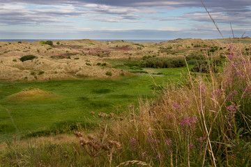 Sand dunes and grass at Bamburgh beach on the Northumberland coast, UK