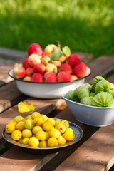 fresh harvest of home fruits and berries. Apples, plums, physalis. In plates on a wooden table on a green background. In sunny day