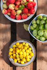 fresh harvest of home fruits and berries. Apples, plums, physalis. In plates on a wooden table on a green background. In sunny day
