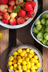 fresh harvest of home fruits and berries. Apples, plums, physalis. In plates on a wooden table on a green background. In sunny day