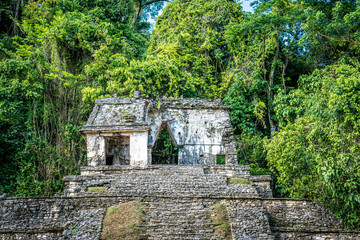 old maya temple in palenque mexico