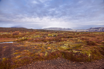 Autumn landscape in The Thingvellir National Park