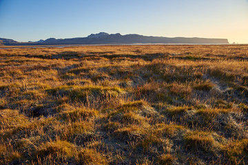 Fototapeta premium beautiful autumn landscape in Iceland