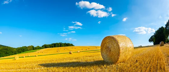 Foto auf Acrylglas Sommer Landschaft im Sommer mit Heuballen auf einem Feld und blauem Himmel mit Wolken im Hintergrund