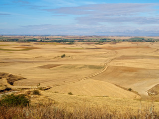 View backward of the valley from Alto Mestelares - Castrojeriz, Castile and Leon, Spain