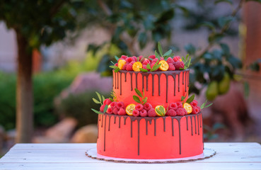 wedding cake in two tiers with red cream and raspberry