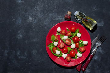 Fresh italian caprese salad with mozzarella and tomatoes on red plate over dark stone background with copy space, flat lay