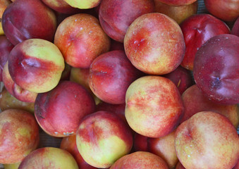 ripe juicy peaches
