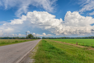 Fototapeta na wymiar Country road in Oklahoma with white clouds against a blue sky.