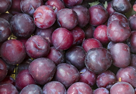 Heap of many ripe plum fruits, can be used as a background, Sofia, Bulgaria