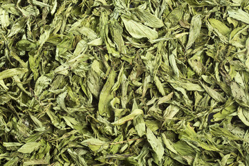 Dry stevia leaves - Stevia rebaudiana. - obrazy, fototapety, plakaty