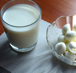 Milk food. Cottage cheese, cheese and a glass of fresh milk. Traditional Italian mozzarella cheese. Natural village food. Protein Breakfast.