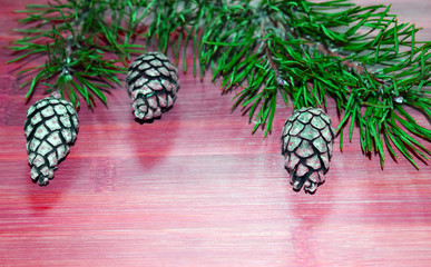 Christmas decorations of fir branches and pine cones. Cones on the branches of the Christmas tree...