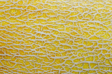 Abstract texture of a cracked melon rind.