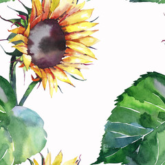 Bright graphic wonderful colorful lovely yellow orange autumn herbal floral sunflowers with green leaves pattern watercolor hand illustration. Perfect for greetings card, textile, wallpapers, sleepwea