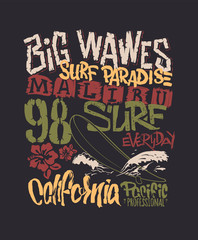 Surf graphic. T-shirt Printing. Lettering Vector Design