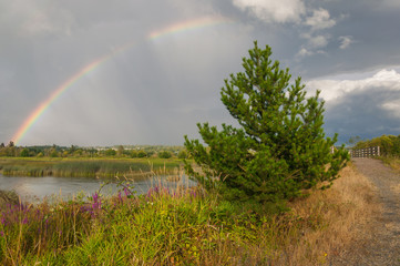 Tree, lake and bridge below rainbow