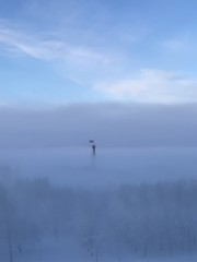 Fototapeta na wymiar fog