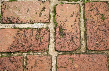 Old red brick wall background, Autumn in VA USA.