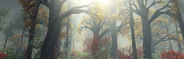 Fototapeta premium autumn forest in the morning in the fog. autumn trees in the fog. 