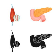 Vector design of body and human symbol. Set of body and medical stock symbol for web.