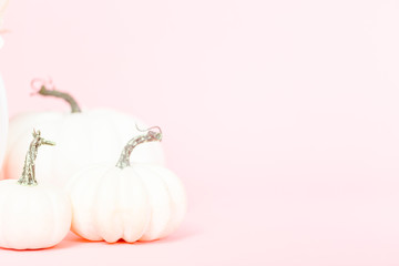 Unicorn pumpkin © arinahabich