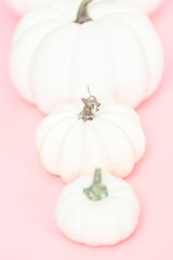 White pumpkins © arinahabich