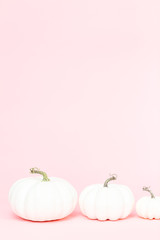 White pumpkins © arinahabich