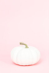 White pumpkins © arinahabich