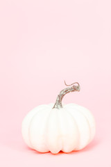 White pumpkins © arinahabich