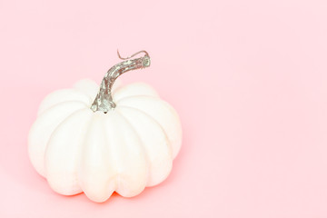 White pumpkins © arinahabich