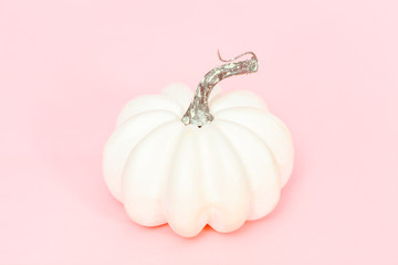 White pumpkins © arinahabich
