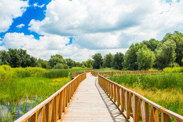 Kopacki rit nature park, wooden path, Slavonia, Croatia, popular tourist destination and birds...