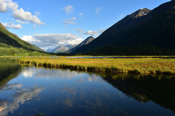 Tern Lake reflections