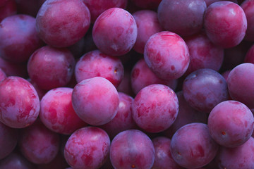 plum close up background placer